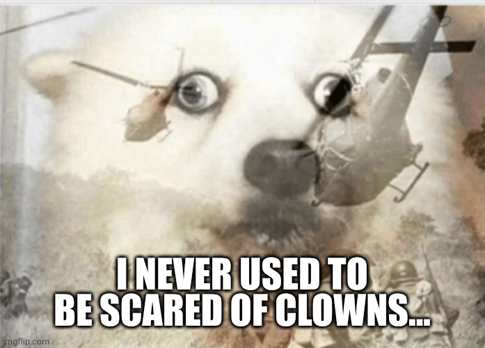 PTSD dog | I NEVER USED TO BE SCARED OF CLOWNS... | image tagged in ptsd dog | made w/ Imgflip meme maker