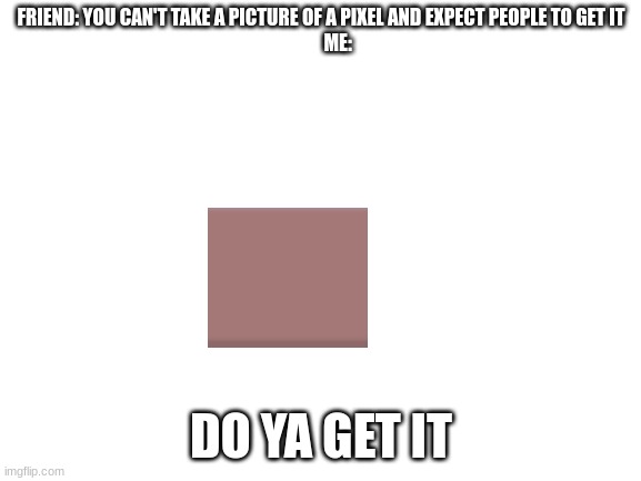 P I X E L | FRIEND: YOU CAN'T TAKE A PICTURE OF A PIXEL AND EXPECT PEOPLE TO GET IT
         ME:; DO YA GET IT | image tagged in blank white template | made w/ Imgflip meme maker