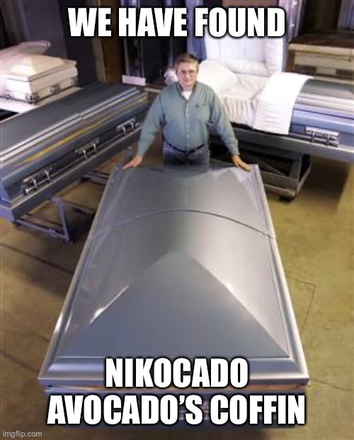 WE HAVE FOUND; NIKOCADO AVOCADO’S COFFIN | made w/ Imgflip meme maker