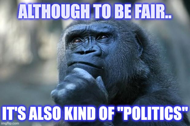 Deep Thoughts | ALTHOUGH TO BE FAIR.. IT'S ALSO KIND OF "POLITICS" | image tagged in deep thoughts | made w/ Imgflip meme maker