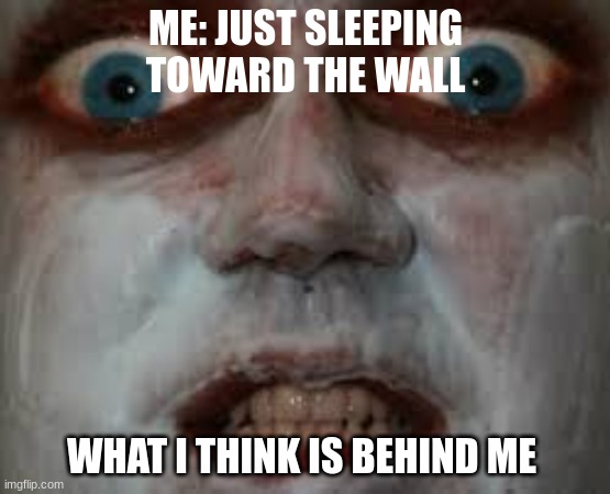 Isn't this just facts | ME: JUST SLEEPING TOWARD THE WALL; WHAT I THINK IS BEHIND ME | image tagged in memes,relatable | made w/ Imgflip meme maker