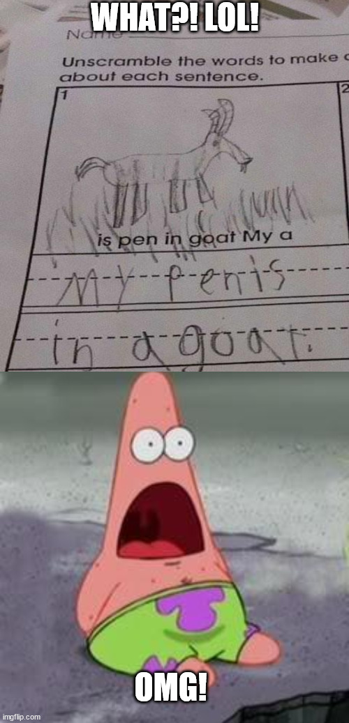 WHAT?! LOL! OMG! | image tagged in suprised patrick | made w/ Imgflip meme maker