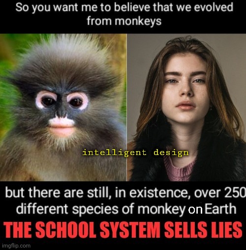 Evolution Debunked. You Literally Had One Job | intelligent design | image tagged in humans,life,thug life,evolution | made w/ Imgflip meme maker
