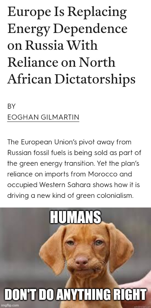 HUMANS; DON'T DO ANYTHING RIGHT | image tagged in disappointed dog,big oil,war,money,environment | made w/ Imgflip meme maker