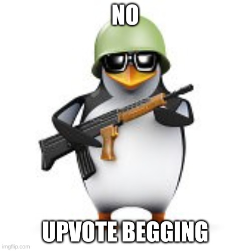 NO UPVOTE BEGGING | image tagged in no anime penguin | made w/ Imgflip meme maker