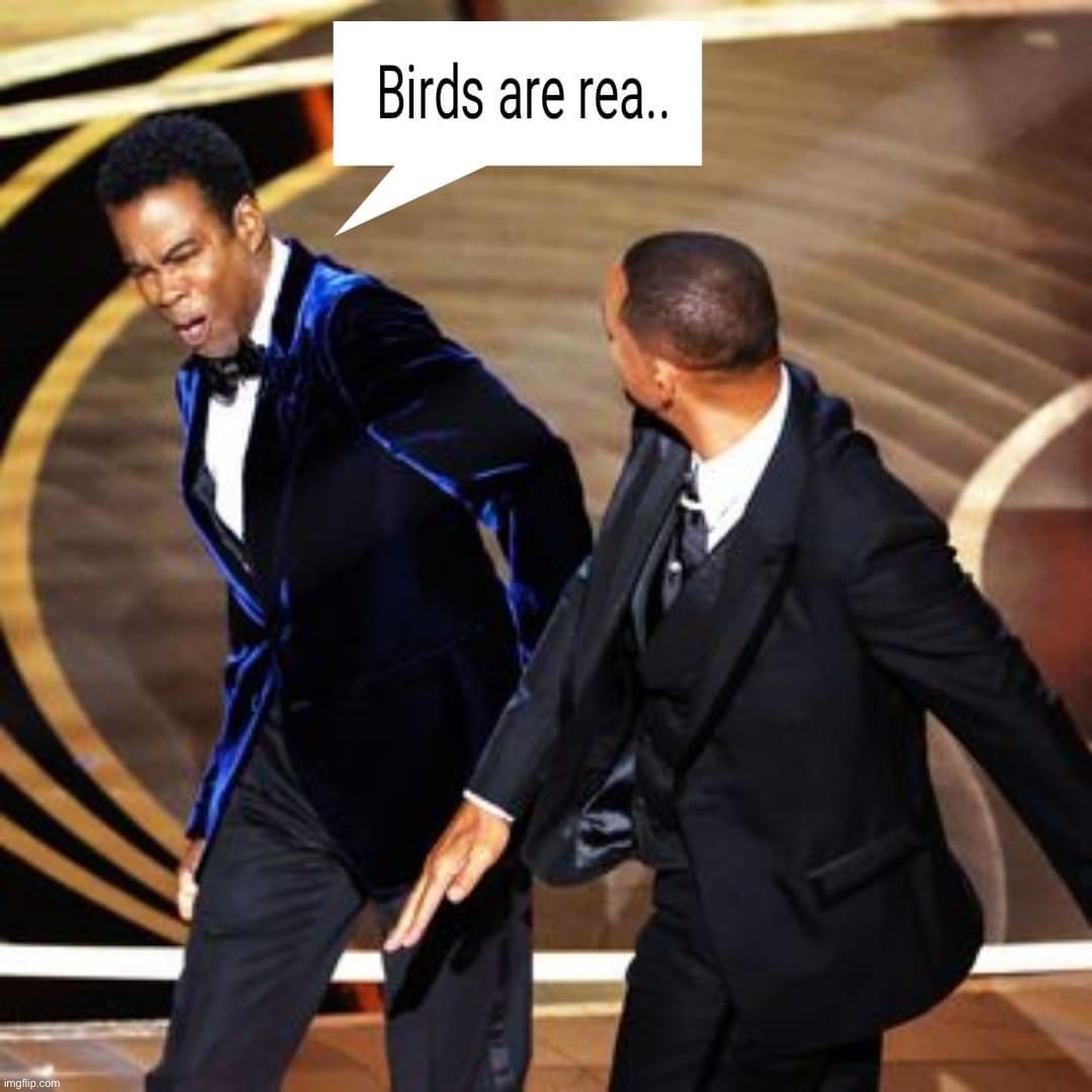 Will Smith smacks Chris Rock birds aren’t real | image tagged in will smith smacks chris rock birds aren t real | made w/ Imgflip meme maker