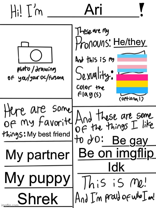 Lgbtq stream account profile | Ari; He/they; My best friend; Be gay; My partner; Be on imgflip; Idk; My puppy; Shrek | image tagged in lgbtq stream account profile | made w/ Imgflip meme maker