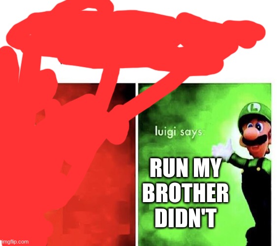 Mario Bros Views | RUN MY BROTHER DIDN'T | image tagged in mario bros views | made w/ Imgflip meme maker