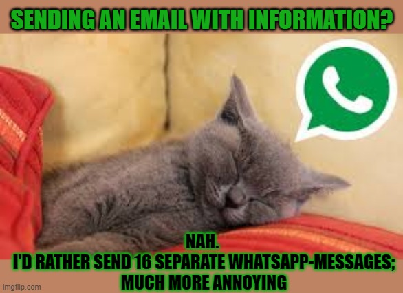 This #lolcat wonders why people don't send emails anymore | SENDING AN EMAIL WITH INFORMATION? NAH. 
I'D RATHER SEND 16 SEPARATE WHATSAPP-MESSAGES;
MUCH MORE ANNOYING | image tagged in lolcat,email,whatsapp,annoying,think about it | made w/ Imgflip meme maker