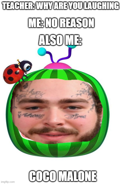 Hmmmm melon |  TEACHER: WHY ARE YOU LAUGHING; ME: NO REASON; ALSO ME:; COCO MALONE | image tagged in blank white template | made w/ Imgflip meme maker