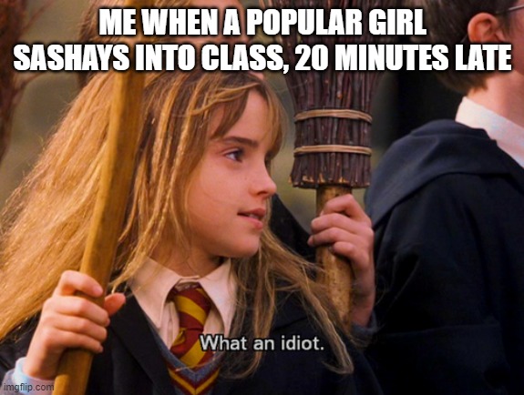 What an idiot | ME WHEN A POPULAR GIRL SASHAYS INTO CLASS, 20 MINUTES LATE | image tagged in what an idiot | made w/ Imgflip meme maker