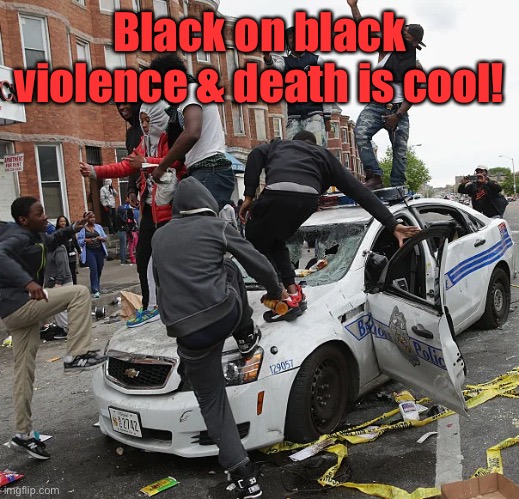 BLM | Black on black violence & death is cool! | image tagged in blm | made w/ Imgflip meme maker