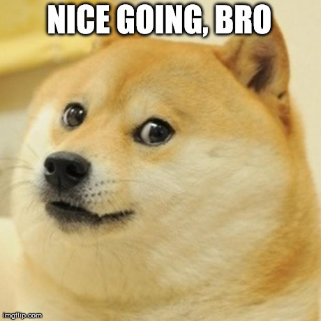 Doge Meme | NICE GOING, BRO | image tagged in memes,doge | made w/ Imgflip meme maker