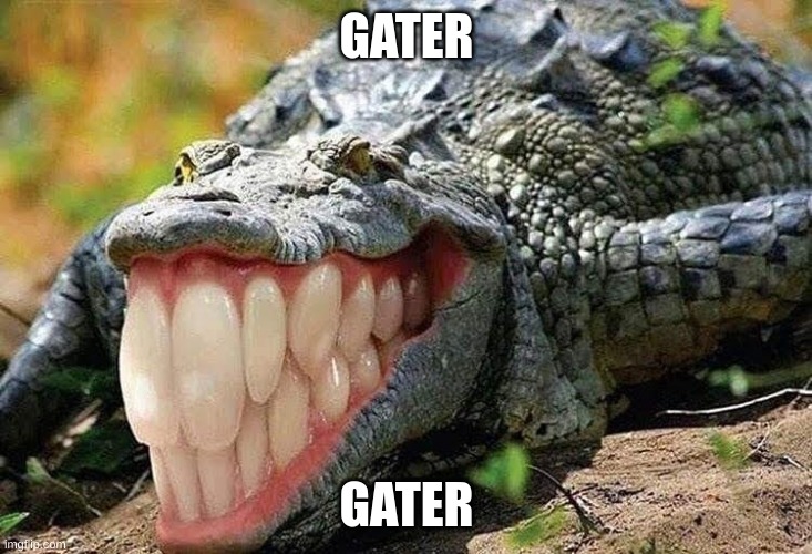 GATER GATER | made w/ Imgflip meme maker