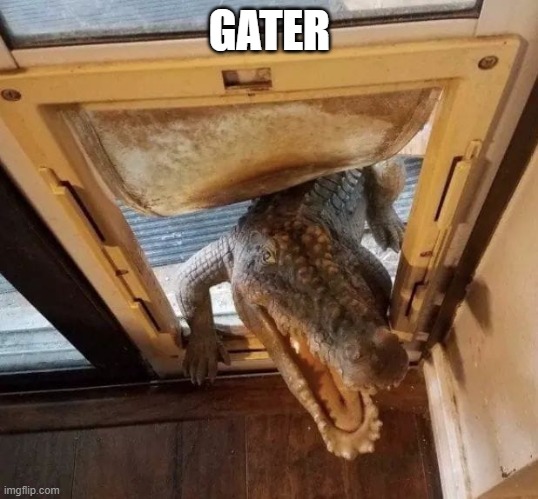 Gater visit | GATER | image tagged in gater visit | made w/ Imgflip meme maker