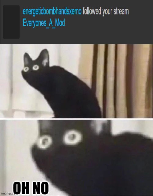 Now hes doing it on everyones a mod | OH NO | image tagged in oh no black cat | made w/ Imgflip meme maker