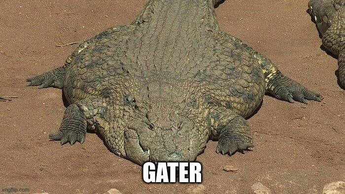 GATER | made w/ Imgflip meme maker