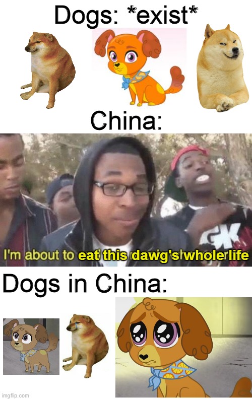 China Eats Dogs | Dogs: *exist*; China:; eat this dawg's whole life; Dogs in China: | image tagged in i m about to end this man s whole career,strawberry shortcake,strawberry shortcake berry in the big city,memes,dogs,china | made w/ Imgflip meme maker