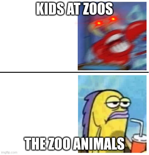 Excited vs Bored | KIDS AT ZOOS; THE ZOO ANIMALS | image tagged in excited vs bored | made w/ Imgflip meme maker