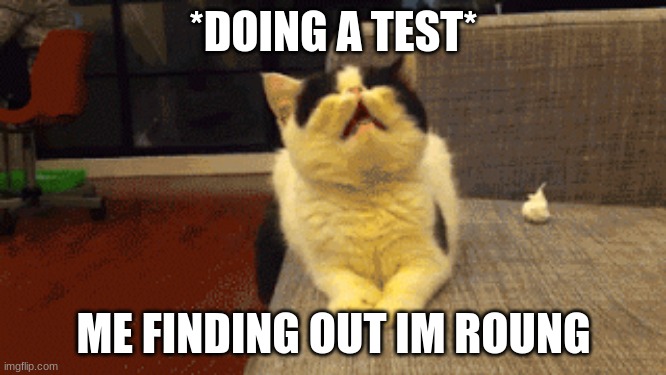 testing | *DOING A TEST*; ME FINDING OUT IM ROUNG | image tagged in memes | made w/ Imgflip meme maker