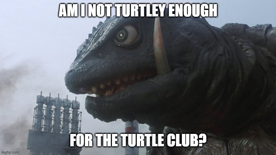 AM I NOT TURTLEY ENOUGH; FOR THE TURTLE CLUB? | made w/ Imgflip meme maker