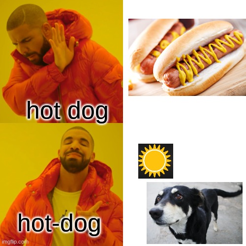 hot dog | hot dog; hot-dog | image tagged in memes,drake hotline bling,dog | made w/ Imgflip meme maker