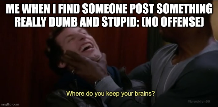 Where do you keep your brains? | ME WHEN I FIND SOMEONE POST SOMETHING REALLY DUMB AND STUPID: (NO OFFENSE) | image tagged in where do you keep your brains | made w/ Imgflip meme maker