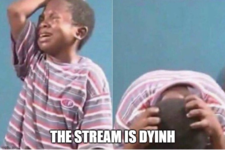 Crying boy | THE STREAM IS DYINH | image tagged in crying boy | made w/ Imgflip meme maker