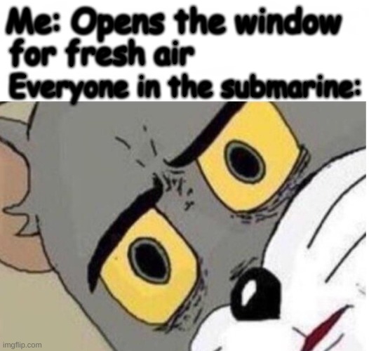 Everyone's gonna drown | Me: Opens the window; for fresh air; Everyone in the submarine: | image tagged in confused tom | made w/ Imgflip meme maker
