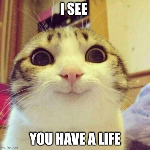 Smiling Cat | I SEE; YOU HAVE A LIFE | image tagged in memes,smiling cat | made w/ Imgflip meme maker