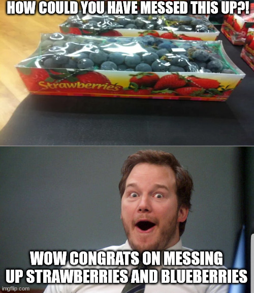 Wow face | HOW COULD YOU HAVE MESSED THIS UP?! WOW CONGRATS ON MESSING UP STRAWBERRIES AND BLUEBERRIES | image tagged in wow face | made w/ Imgflip meme maker