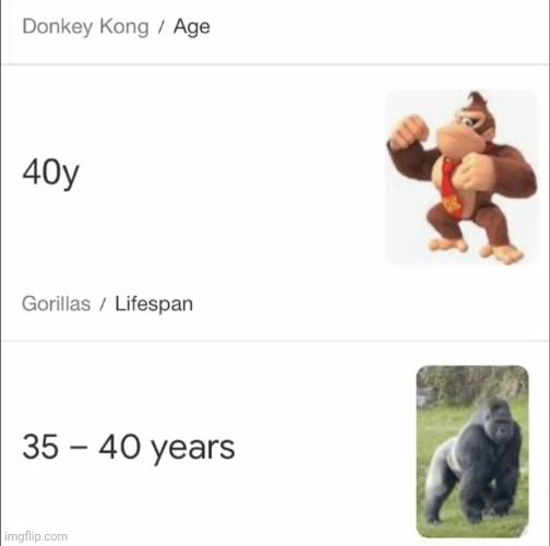 . | image tagged in e | made w/ Imgflip meme maker