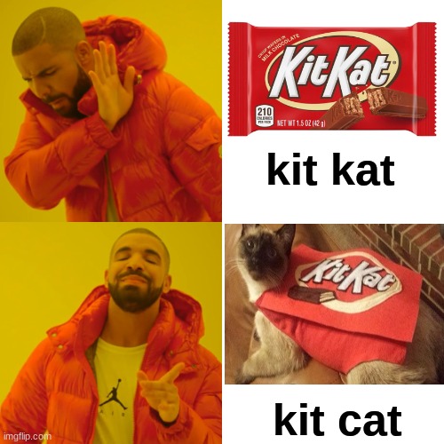 cat is kit kat barr | kit kat; kit cat | image tagged in memes,drake hotline bling | made w/ Imgflip meme maker