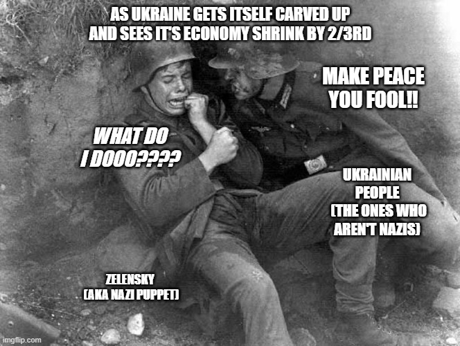 Ukrainian panic | AS UKRAINE GETS ITSELF CARVED UP AND SEES IT'S ECONOMY SHRINK BY 2/3RD; MAKE PEACE YOU FOOL!! WHAT DO I DOOO???? UKRAINIAN PEOPLE
 (THE ONES WHO AREN'T NAZIS); ZELENSKY  (AKA NAZI PUPPET) | image tagged in ukrainian panic | made w/ Imgflip meme maker