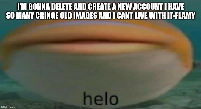 helo | I'M GONNA DELETE AND CREATE A NEW ACCOUNT I HAVE SO MANY CRINGE OLD IMAGES AND I CANT LIVE WITH IT-FLAMY | image tagged in helo | made w/ Imgflip meme maker