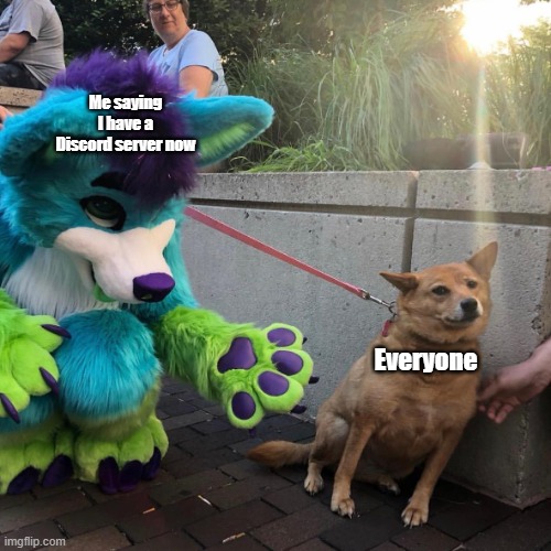 If anyone cares the link to the server in comments. |  Me saying I have a Discord server now; Everyone | image tagged in dog vs furry,furry,discord | made w/ Imgflip meme maker