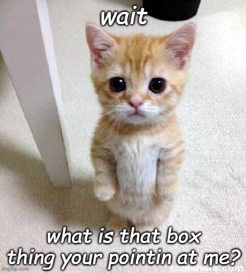 get that thing out odf my face | wait; what is that box thing your pointin at me? | image tagged in memes,cute cat | made w/ Imgflip meme maker