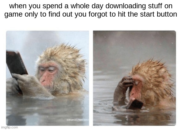 very sad | when you spend a whole day downloading stuff on
game only to find out you forgot to hit the start button | image tagged in monkey with phone,forgot,monkey,phone,downloading,sad | made w/ Imgflip meme maker