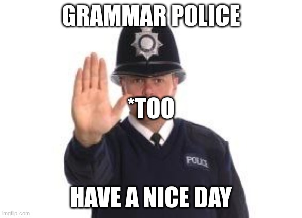 Grammar police | GRAMMAR POLICE HAVE A NICE DAY *TOO | image tagged in grammar police | made w/ Imgflip meme maker