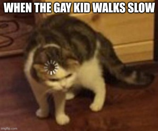 Loading cat |  WHEN THE GAY KID WALKS SLOW | image tagged in loading cat,cat,loading,cats,confused,confused cat | made w/ Imgflip meme maker