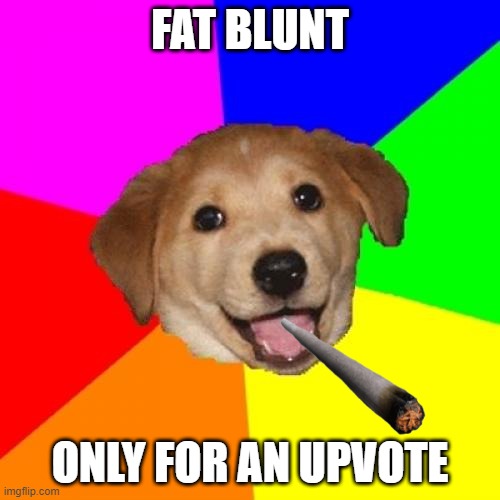 Advice Dog Meme | FAT BLUNT; ONLY FOR AN UPVOTE | image tagged in memes,advice dog | made w/ Imgflip meme maker