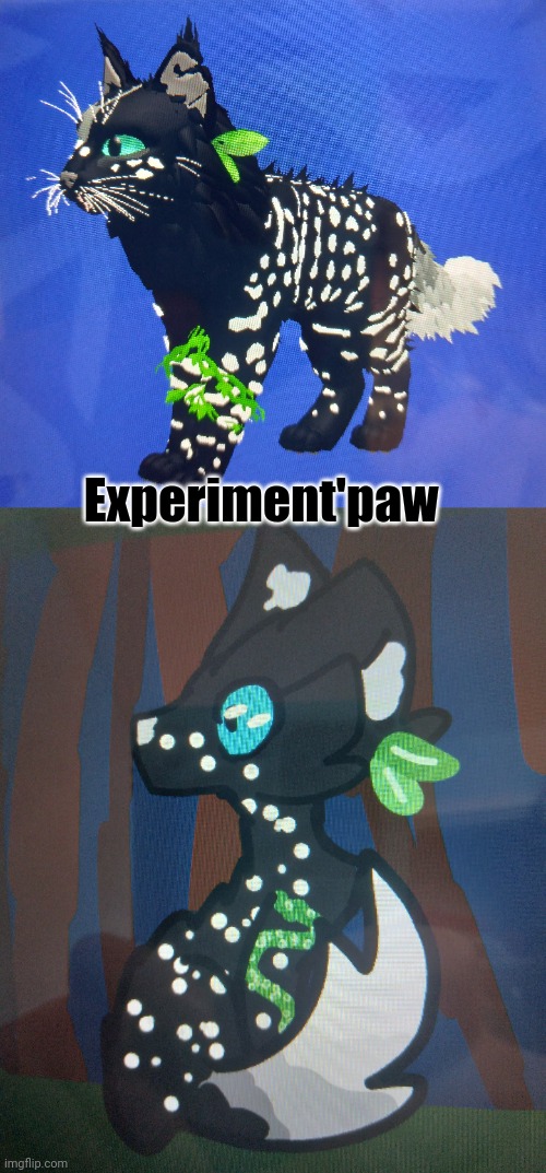 Wcue vs my art :) | Experiment'paw | image tagged in warrior cats | made w/ Imgflip meme maker