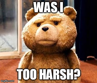 TED Meme | WAS I TOO HARSH? | image tagged in memes,ted | made w/ Imgflip meme maker