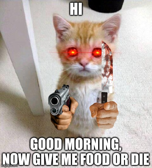 reeeehehehehehh |  HI; GOOD MORNING, NOW GIVE ME FOOD OR DIE | image tagged in memes,cute cat | made w/ Imgflip meme maker