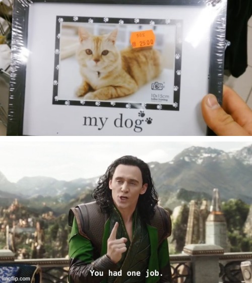 That is not a dog | image tagged in you had one job just the one | made w/ Imgflip meme maker