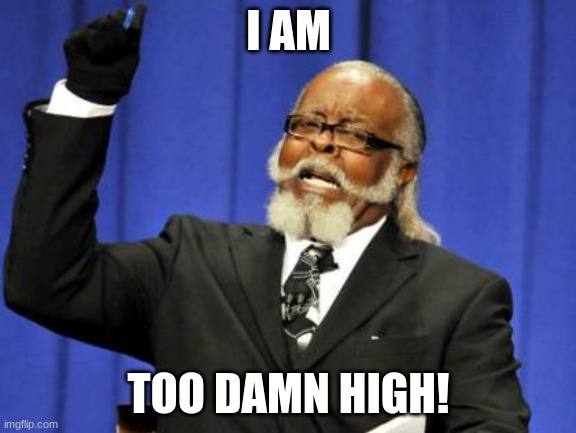welp it happened again | I AM; TOO DAMN HIGH! | image tagged in memes,too damn high | made w/ Imgflip meme maker
