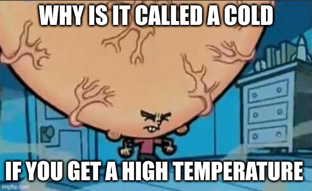 i cant figure it out. one of my friends asked it | WHY IS IT CALLED A COLD; IF YOU GET A HIGH TEMPERATURE | image tagged in big brain timmy | made w/ Imgflip meme maker