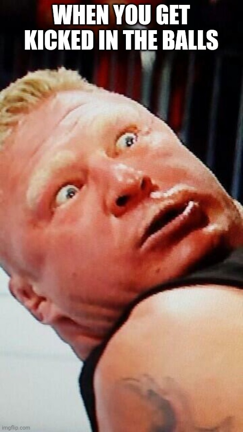 wwe brock lesnar | WHEN YOU GET KICKED IN THE BALLS | image tagged in wwe brock lesnar | made w/ Imgflip meme maker