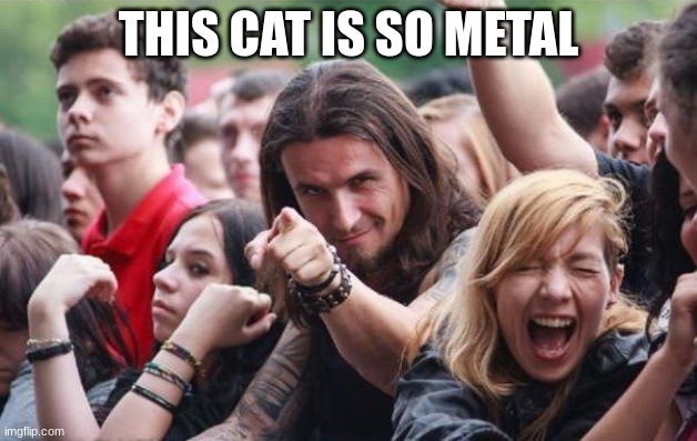 https://youtu.be/56tZRG9KBXQ | THIS CAT IS SO METAL | image tagged in ridiculously photogenic metalhead | made w/ Imgflip meme maker