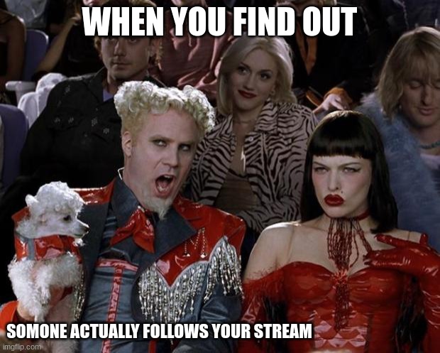 Thank  you my beans |  WHEN YOU FIND OUT; SOMONE ACTUALLY FOLLOWS YOUR STREAM | image tagged in memes,mugatu so hot right now | made w/ Imgflip meme maker